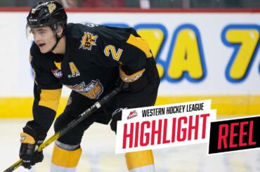 2019-20 HIGHLIGHT REEL | Braden Schneider