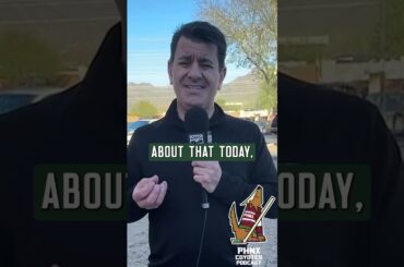 Matt Dumba and Barrett Hayton return to Coyotes practice as team eyes playoff push