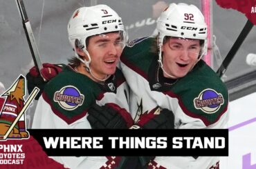 Where things stand for the Arizona Coyotes at the NHL All-Star break