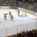 Micheal McCarron FLOATS one from OUTSIDE the blueline for a WILD goal.. #flames #predators