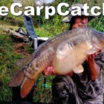 Reedy Fen - Part nine - Carp fishing