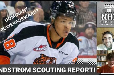 CAYDEN LINDSTROM Scouting Report | Prospect Spotlight