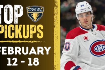 Four Fantasy Hockey Players You Need to Pick Up for Feb. 12-18, 2024