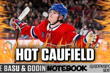 Hot Caufield | The Basu & Godin Notebook