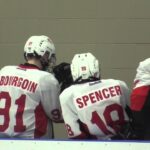 Pierre Bourgoin Profile (Fredericton Caps)