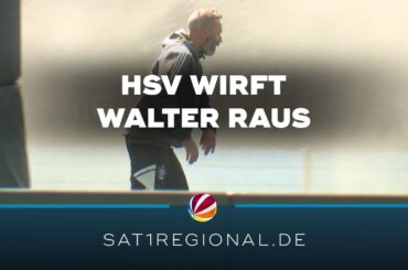 Hamburger SV trennt sich von Trainer Tim Walter