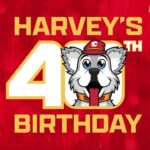 Happy Birthday Harvey!