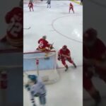 Filip Zadina luxusně tečoval střelu na gól
