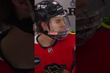 Friendly chirps 🎙️🐤