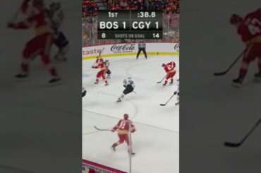 WILD FINISH vs Flames #nhlbruins