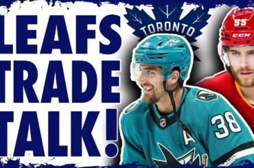 Maple Leafs have multiple trade options!