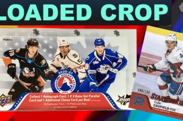 WAIT... THIS IS ACTUALLY GOOD? - 2020-21 Upper Deck AHL Hockey Hobby Box Break