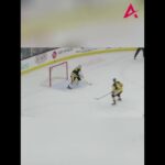 Alexander Nedeljkovic Goalie Goal