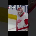 GOAL Mackenzie Entwistle Chicago Blackhawks v Detroit Red Wings 2-3 NHL 2023-24#shorts