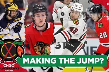 Mailbag: Which Chicago Blackhawks prospects could make the NHL jump next? | CHGO Blackhawks Podcast
