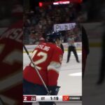 Gustav Forsling OT Goal vs Capitals | 2/24 2024