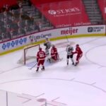 Dominik Kubalik OT Goal vs Red Wings | 2/15 2021 Season