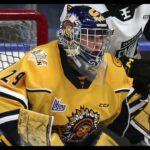 Shawinigan Cataractes Goaltender Rémi Delafontaine (01/21/23)