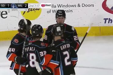 Recap: San Diego Gulls at Milwaukee Admirals, 1.30