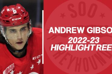 Andrew Gibson (Soo Greyhounds) - 2022-23 OHL Highlights
