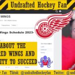 FRUSTRATIONS ABOUT THE DETROIT RED WINGS AND THIER LOSING STREAK AND TRADE DEADLINE