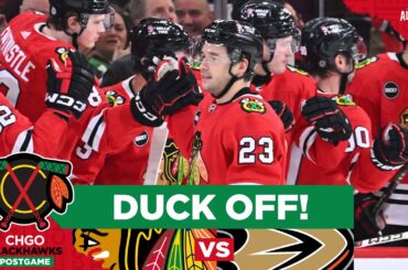 Connor Bedard, Chicago Blackhawks score SEVEN goals in 2nd straight win! | CHGO Blackhawks Podcast