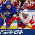 Red Wings can be caught by the Sabres