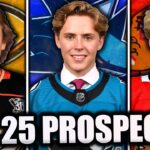 TOP 25 *BEST* NHL PROSPECTS... (2024 Edition)