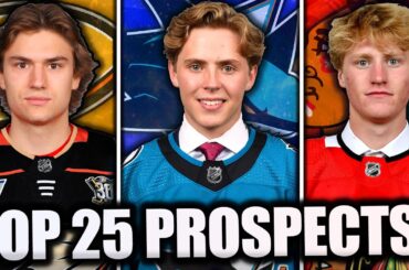 TOP 25 *BEST* NHL PROSPECTS... (2024 Edition)
