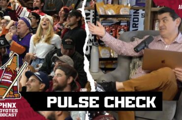 Arizona Coyotes fans offer honest thoughts on the status of the organization