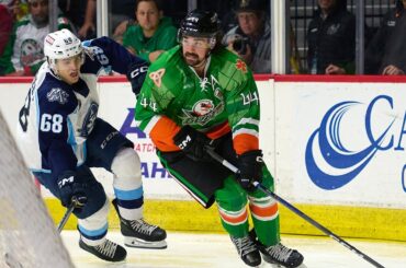 Recap: San Diego Gulls vs. Milwaukee Admirals