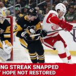 Red Wings losing streak is snapped, but hope is not restored