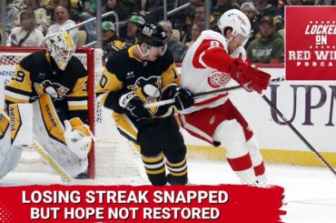 Red Wings losing streak is snapped, but hope is not restored