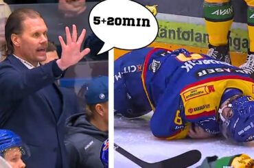 Ilveksen sikailijalle pelikieltoa