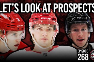 Episode 268 - The Detroit Red Wings Are Failing, Let's Talk Prospects