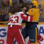 Predators' Filip Forsberg, Red Wings' Mortiz Seider Fight in Battle of Unexpected Combatants