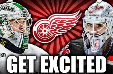 RED WINGS FANS ARE IN FOR A REAL TREAT (Detroit Top Prospects News)