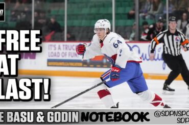 Free at last  | The Basu & Godin Notebook