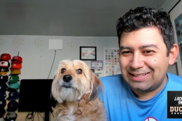 Further Cuts, and the Gulls Team Taking Shape