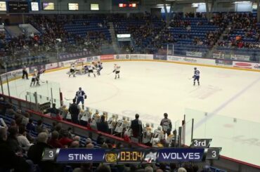 Adam Ruzicka 19th goal in season Sudbury Wolves (OHL) 18/19