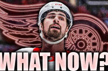 DETROIT RED WINGS: WHAT NOW?