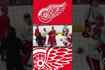 Red Wings Ben Chiarot and Lucas Raymond fight at Wednesday's practice