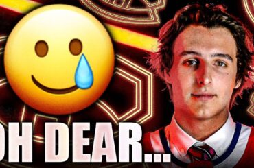 A DEPRESSING UPDATE ON DAVID REINBACHER (Montreal Canadiens Top Prospects News)
