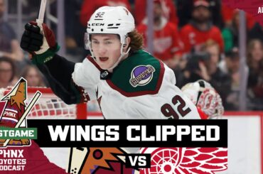 Connor Ingram Comes Up Big In Arizona Coyotes’ Win Over Detroit Red Wings