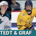 San Jose Sharks Sign Top NCAA Free Agent Collin Graf And Filip Bystedt Dazzles In AHL Debut