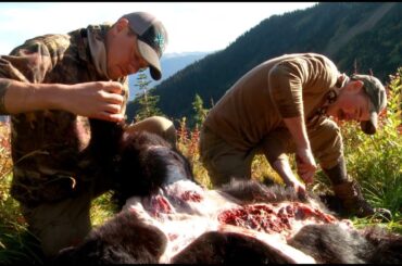 How to Skin and Butcher a Black Bear with Steven Rinella - MeatEater
