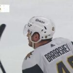 Ivan Barbashev had a double against the Jets / 28.03.2024