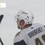 Ivan Barbashev had a double against the Jets / 28.03.2024