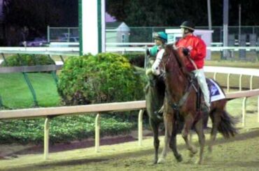 Zenyatta and Mike Smith return after the Breeders' Cup Classic - 11/6/10
