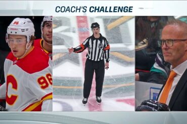 Goaltender interference still makes no sense...